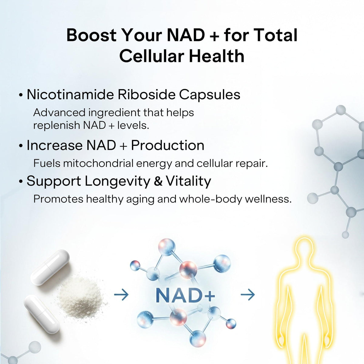NAD  Capsules Resveratrol   Liposomal Nicotinamide Riboside Quercetin Vitamin B3 NAD  Supplement for Women and Men   Anti Aging Boost Focus and Energy   Cell Regeneration Supplement 120 Capsules