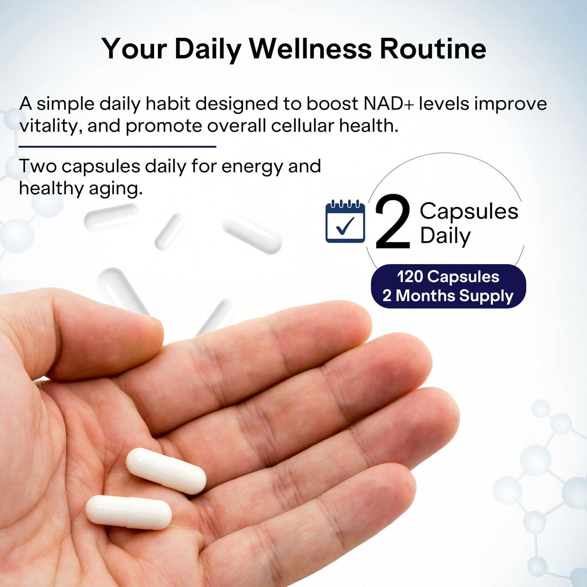 NAD  Capsules Resveratrol   Liposomal Nicotinamide Riboside Quercetin Vitamin B3 NAD  Supplement for Women and Men   Anti Aging Boost Focus and Energy   Cell Regeneration Supplement 120 Capsules